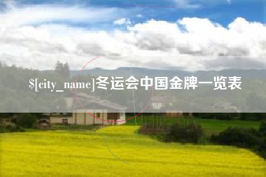 东台冬运会中国金牌一览表