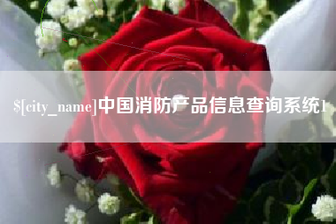 东台中国消防产品信息查询系统1