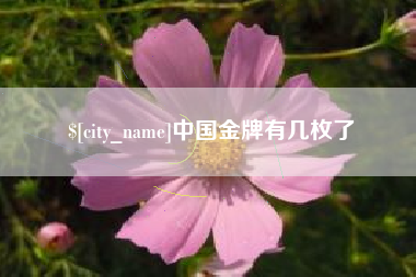 东台中国金牌有几枚了