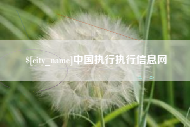 东台中国执行执行信息网