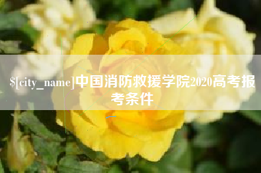 东台中国消防救援学院2020高考报考条件
