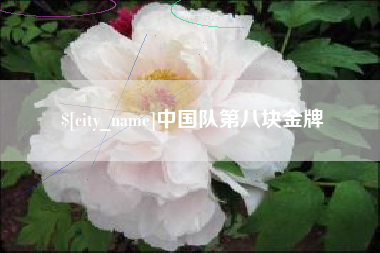 东台中国队第八块金牌