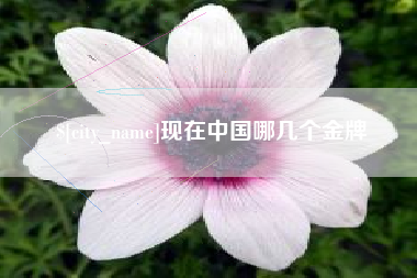 东台现在中国哪几个金牌