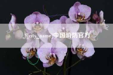 东台中国消防官方