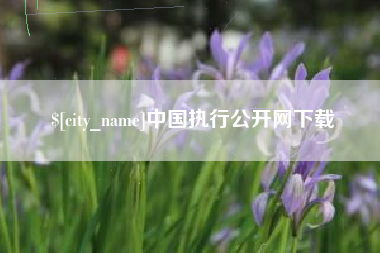 东台中国执行公开网下载