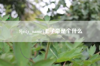 东台王子豪是个什么