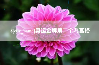 东台奥运金牌第二个九宫格