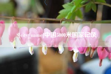东台中国5000米国家记录