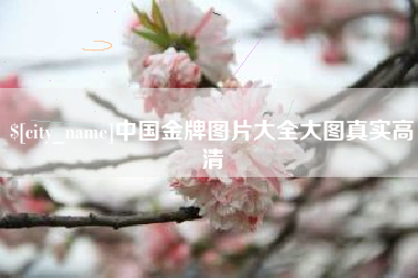 东台中国金牌图片大全大图真实高清