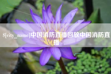东台中国消防直播回放中国消防直播