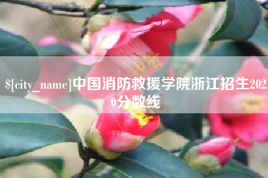 东台中国消防救援学院浙江招生2020分数线