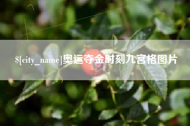 东台奥运夺金时刻九宫格图片