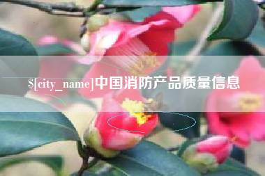 东台中国消防产品质量信息