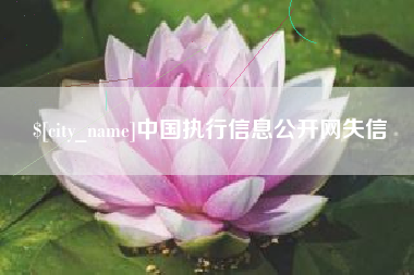 东台中国执行信息公开网失信
