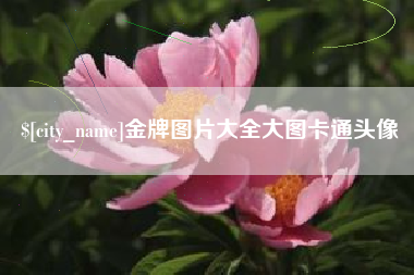东台金牌图片大全大图卡通头像