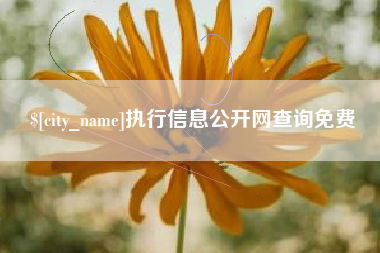 东台执行信息公开网查询免费