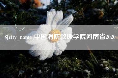 东台中国消防救援学院河南省2020